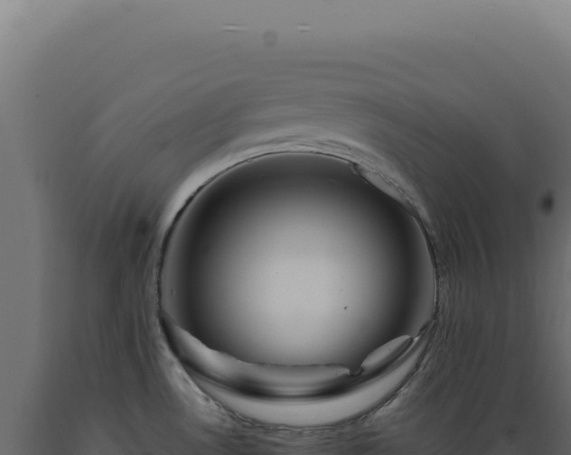 X0000089971530200707061150