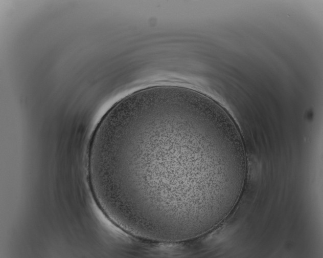 X0000089971531200707061150