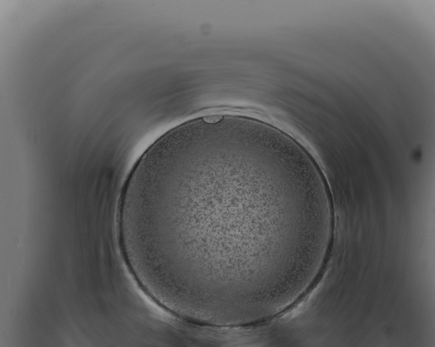 X0000089971533200707061150