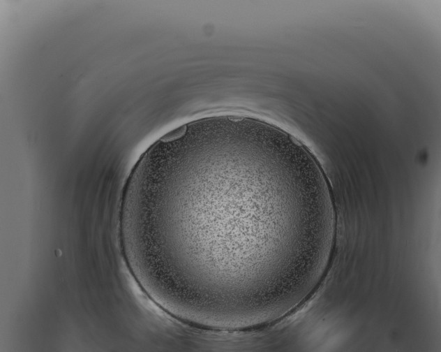 X0000089971534200707061150