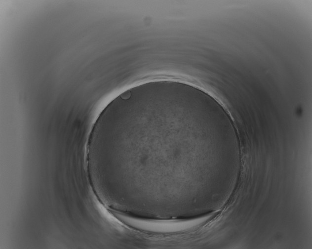 X0000089971535200707061150