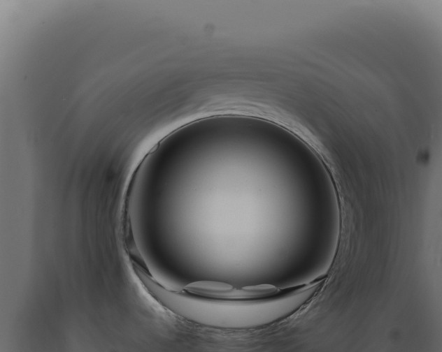 X0000089971536200707061150