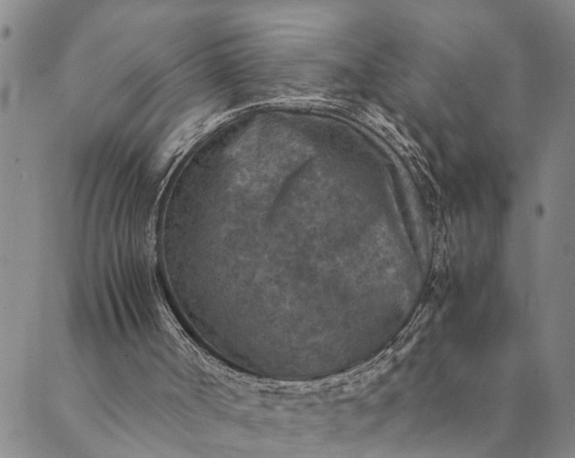 X0000089970002200707131434