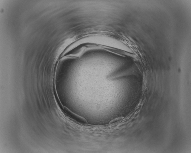 X0000089970003200707131434