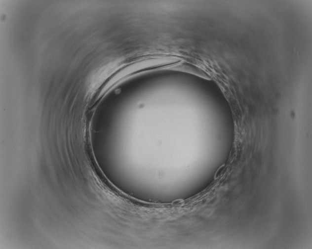 X0000089970005200707131434