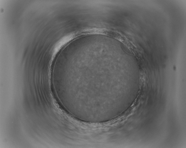 X0000089970006200707131434