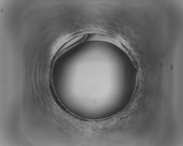 X0000089970007200707131434