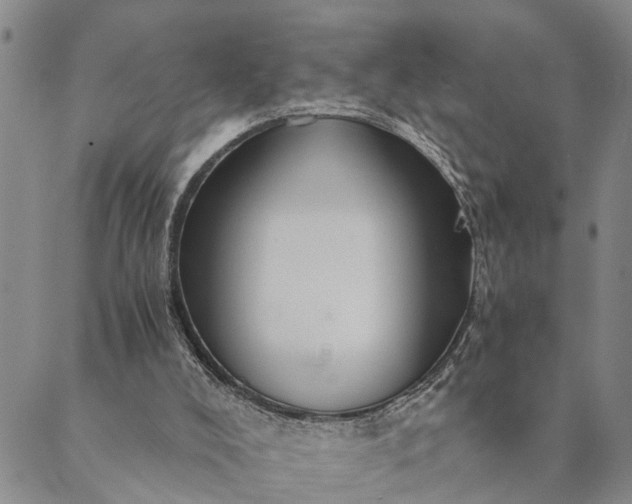 X0000089970008200707131434