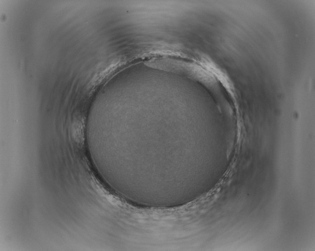 X0000089970009200707131434