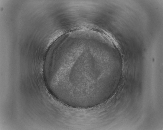 X0000089970010200707131434