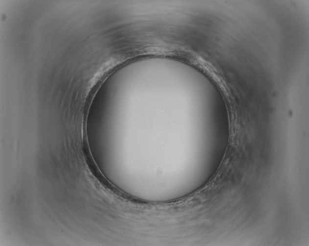 X0000089970011200707131434