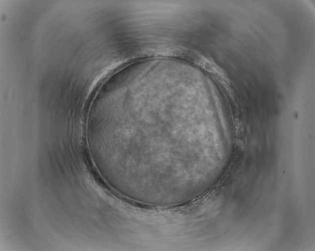 X0000089970012200707131434