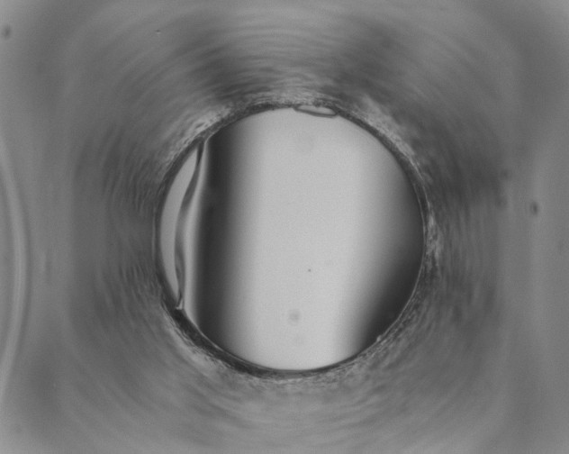 X0000089970013200707131434