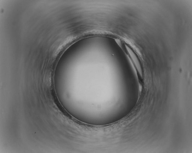 X0000089970015200707131434