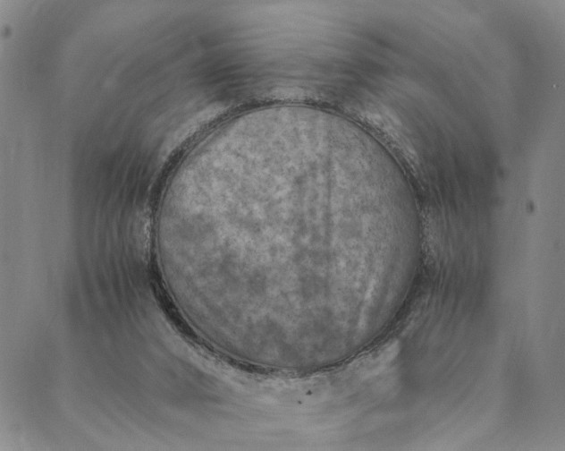 X0000089970016200707131434