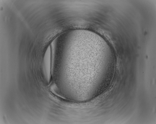 X0000089970017200707131434