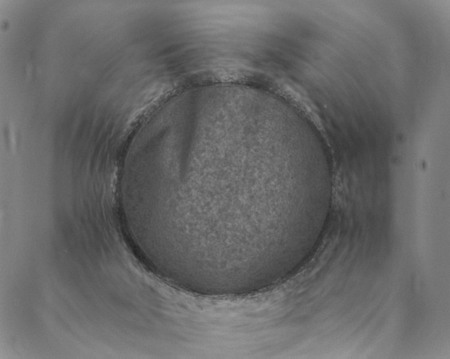 X0000089970018200707131434