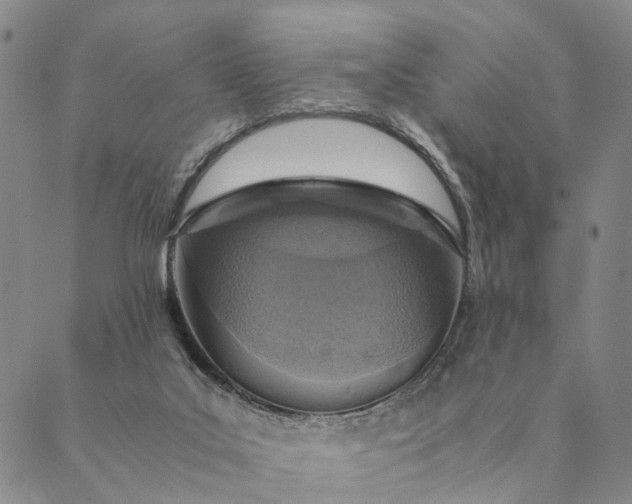 X0000089970019200707131434