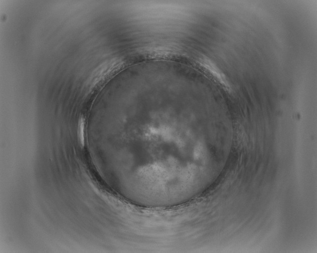 X0000089970022200707131434