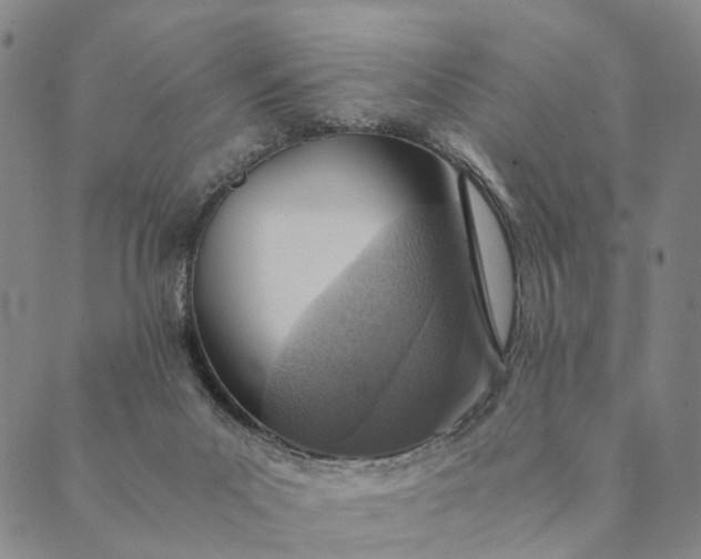 X0000089970023200707131434