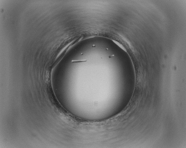 X0000089970025200707131434