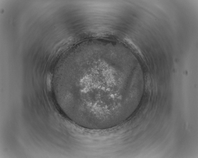 X0000089970026200707131434