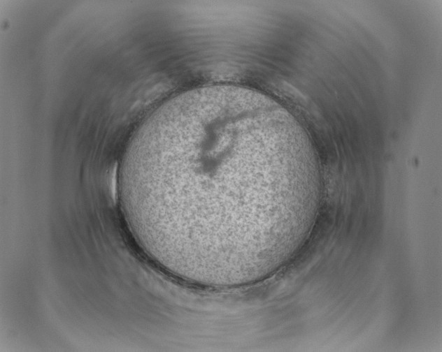 X0000089970028200707131434