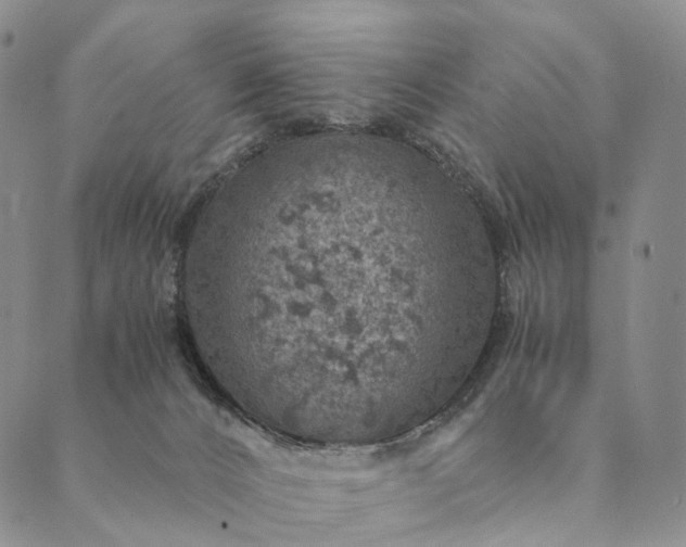 X0000089970032200707131434