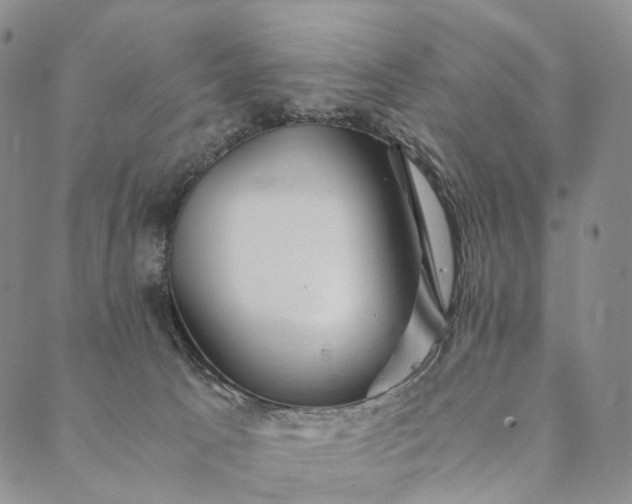 X0000089970033200707131434