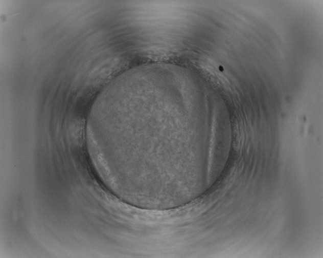 X0000089970034200707131434