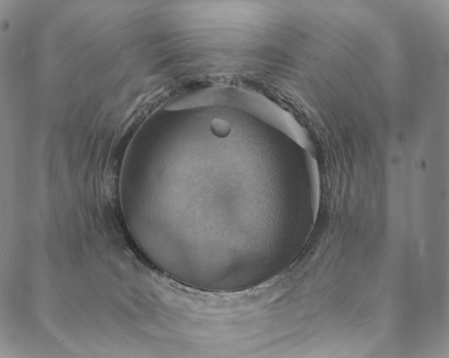 X0000089970035200707131434