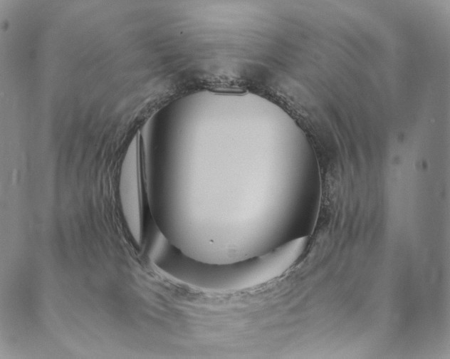 X0000089970037200707131434