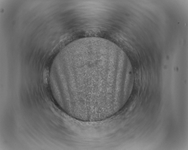 X0000089970038200707131434