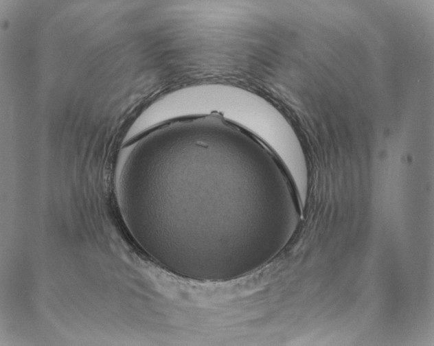 X0000089970039200707131434