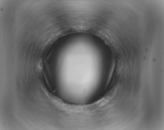 X0000089970040200707131434