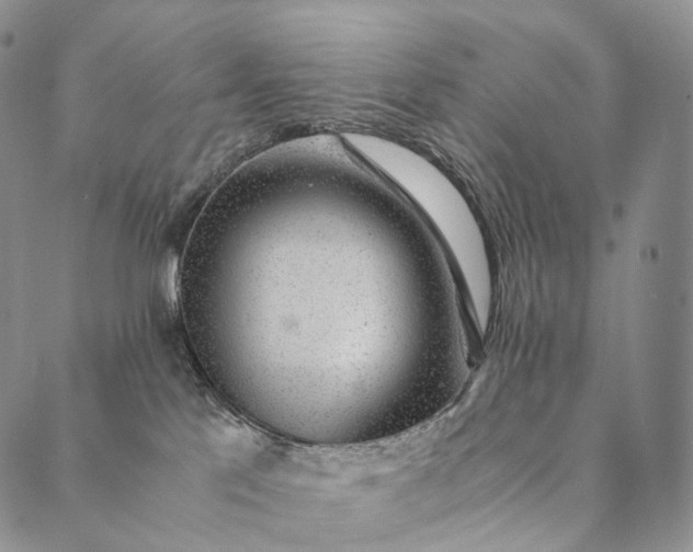 X0000089970041200707131434