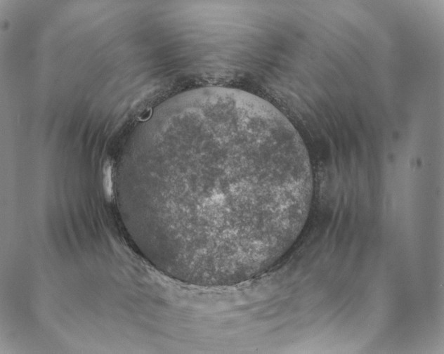 X0000089970042200707131434