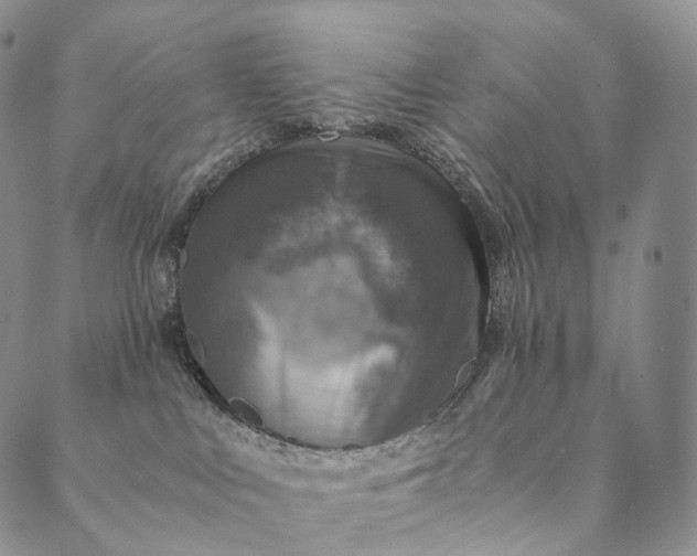 X0000089970043200707131434