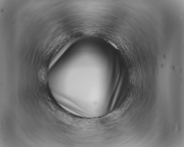 X0000089970044200707131434