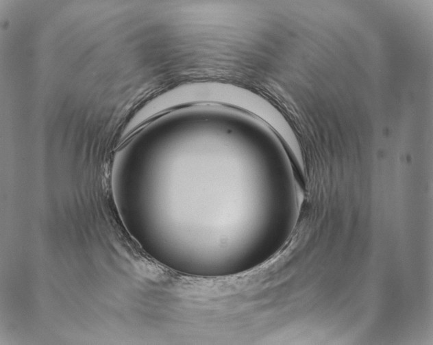 X0000089970045200707131434