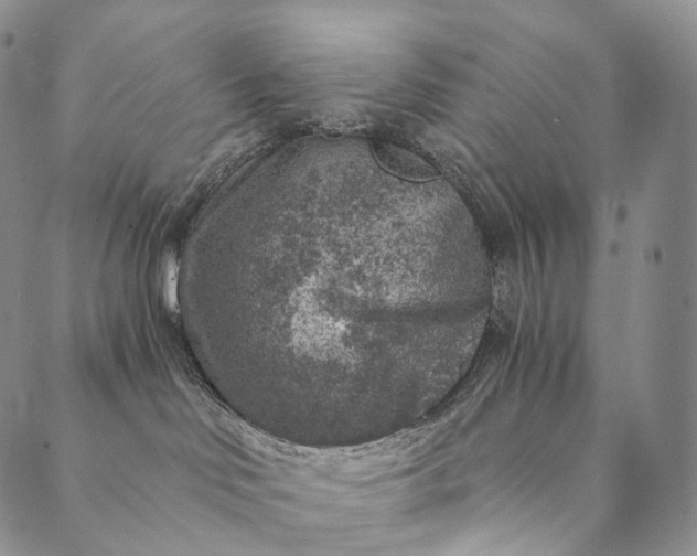 X0000089970046200707131434