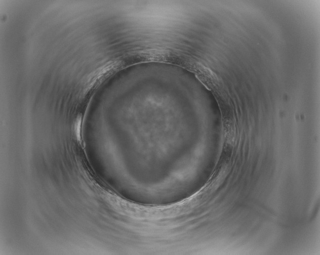 X0000089970047200707131434