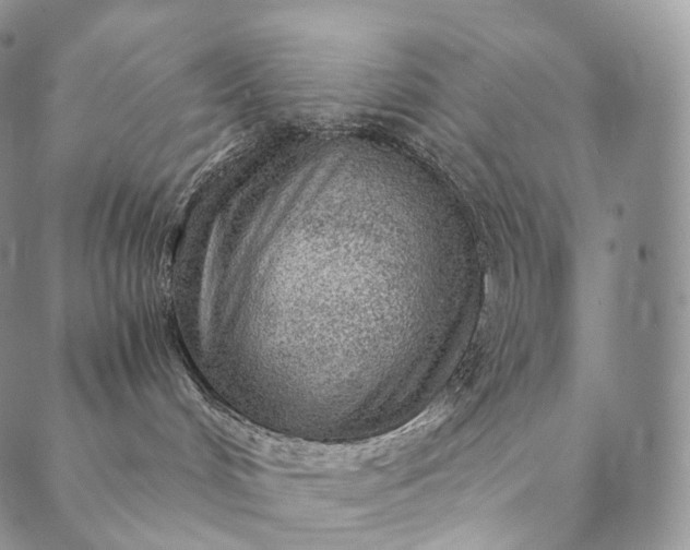 X0000089970048200707131434