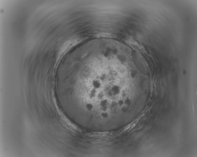 X0000089970049200707131433