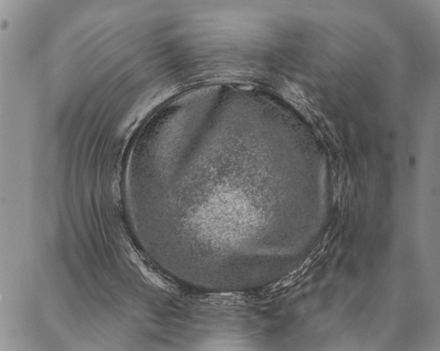 X0000089970050200707131433