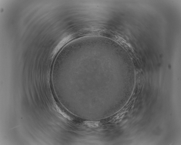 X0000089970051200707131433