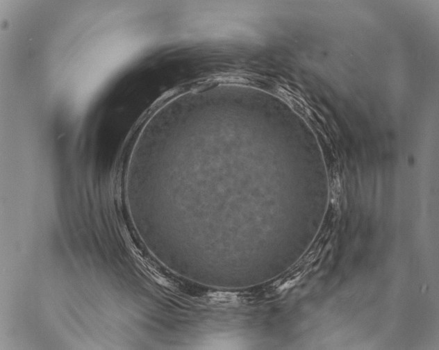 X0000089970052200707131433