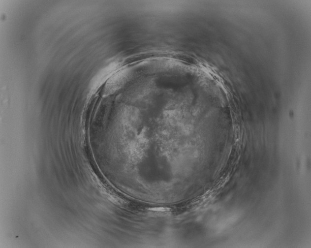 X0000089970053200707131433