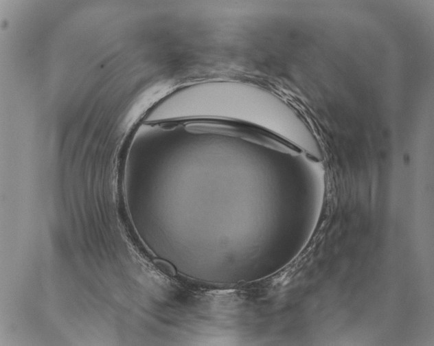 X0000089970054200707131433