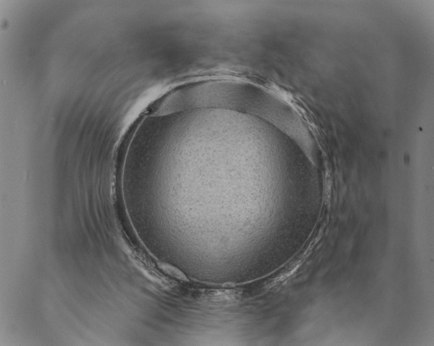 X0000089970056200707131433